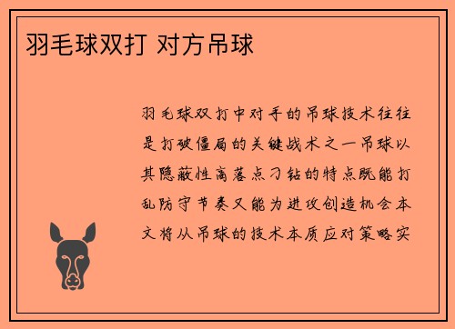 羽毛球双打 对方吊球